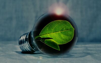 Efficienza energetica in Italia: crescono industria e terziario, rallenta il residenziale